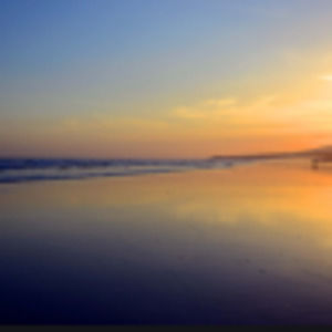 Meet your Posher, Iris